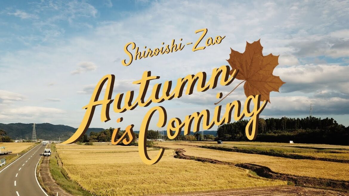 "SHIROISHI-ZAO" Autumn is coming [อาสาพาไปหลง Japan]