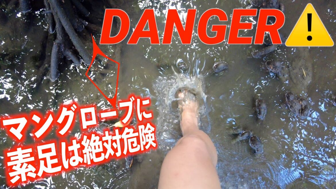 【恐怖体験】気軽に参加した沖縄のツアーが死と隣り合せレプトスピラ症に注意｜虫刺されの痒みが全く治らない｜西表島４K高画質 じゃじゃまるツアー船浮｜石垣・西表旅＃４
