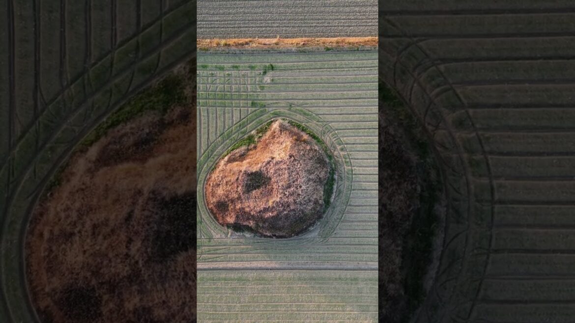 町の中にある古墳 #shorts