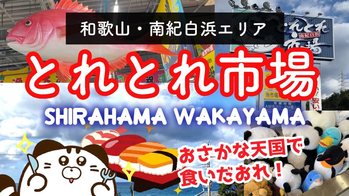 【和歌山Vlog】南紀白浜ぶらり旅１ とれとれ市場に行ってみた！Shirahama Wakayama Japan【【海鮮＆絶景】