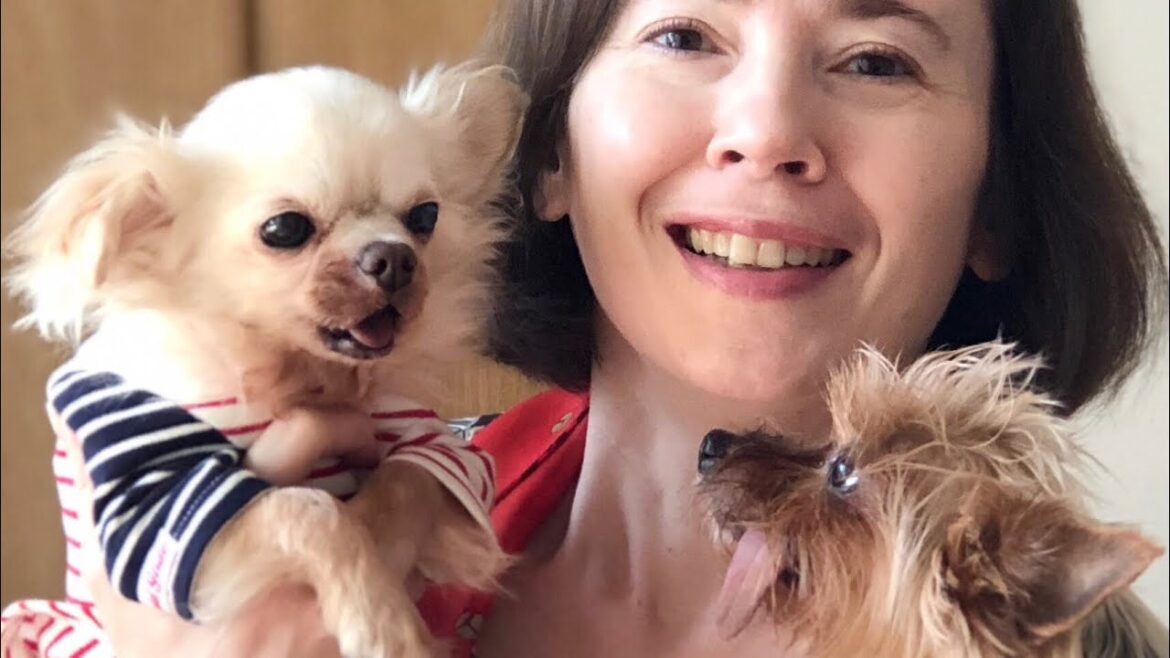 About the "Travel with the Babies" Project