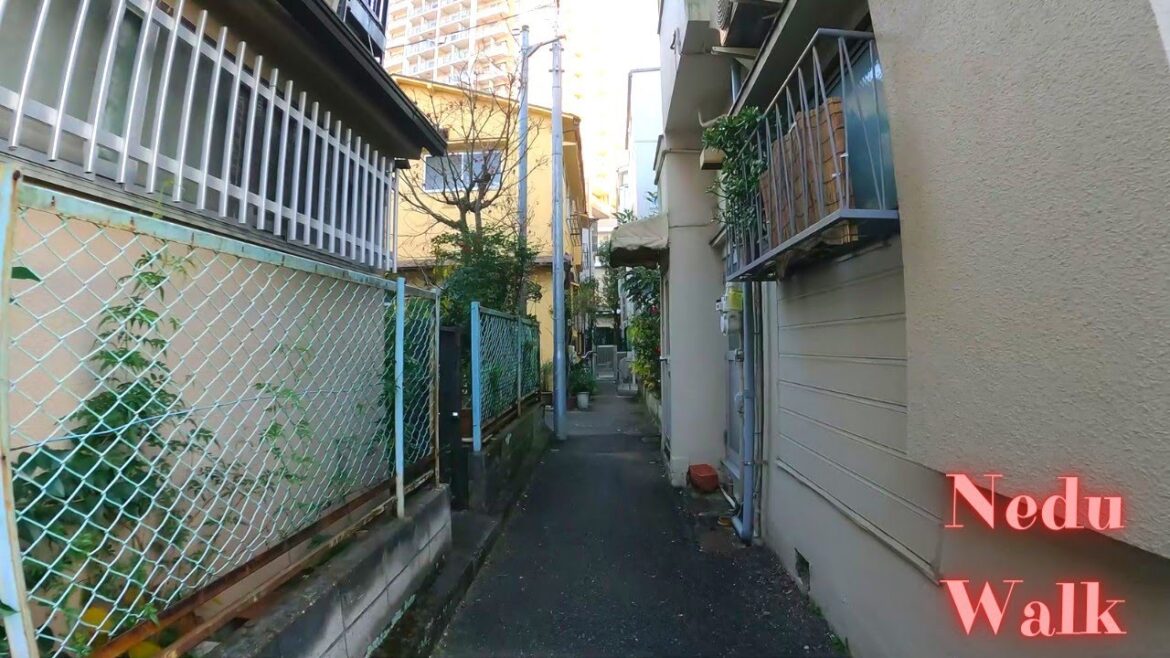 Nedu Tokyo in Japan walking tour【4K】12.2022