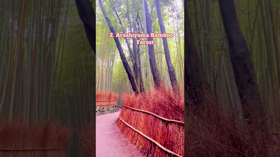 5 Places to visit in Kyoto! Instagram: cutepiika.jpg