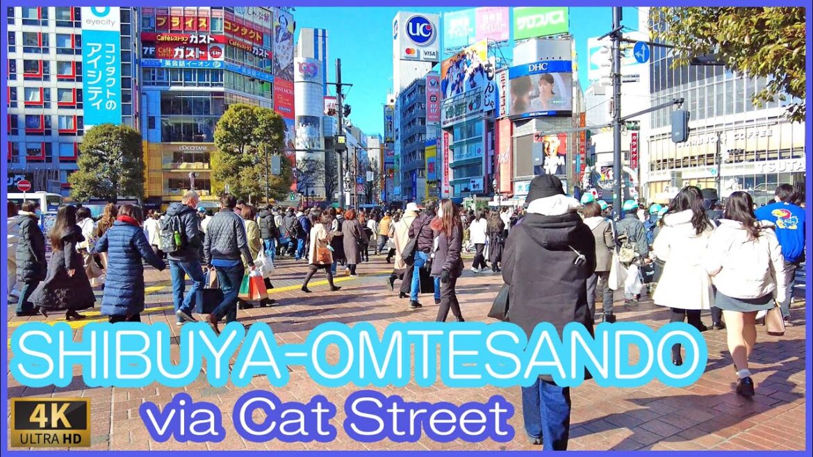walk from SHIBUYA to OMOTESANDO via Cat Street walk from SHIBUYA to OMOTESANDO via Cat Street