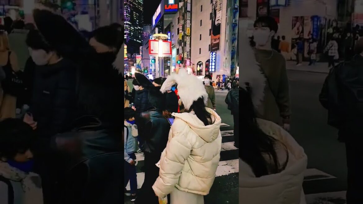 tokyo, japan, travel