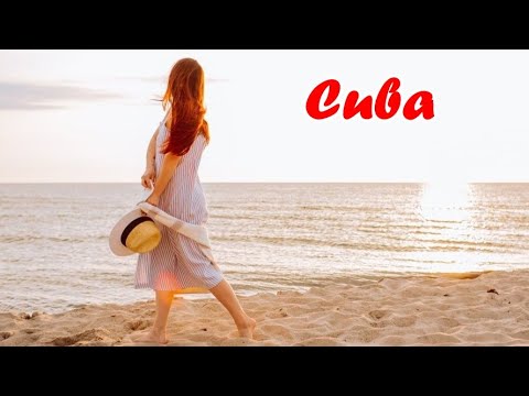 Beach Melia Las Americas, Varadero, Cuba ep 29 – Plaja Melia – travel video calatorie vlog walk Beach Melia Las Americas, Varadero, Cuba ep 29 - Plaja Melia - travel video calatorie vlog walk