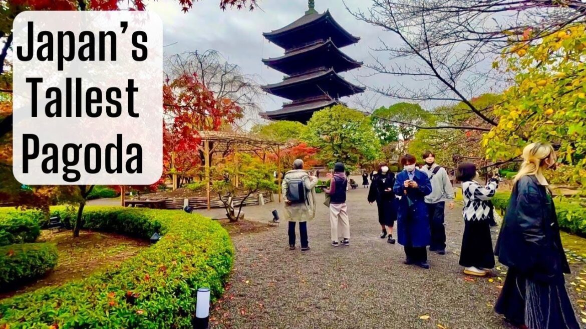 Exploring Toji Temple & Tofukuji Temple Kyoto Japan Exploring Toji Temple & Tofukuji Temple Kyoto Japan