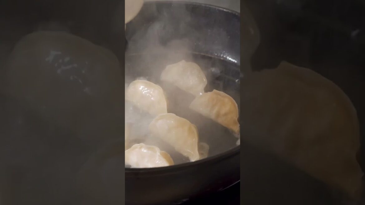 Chef cooking gyoza 🥟 #shorts #shortsvideo