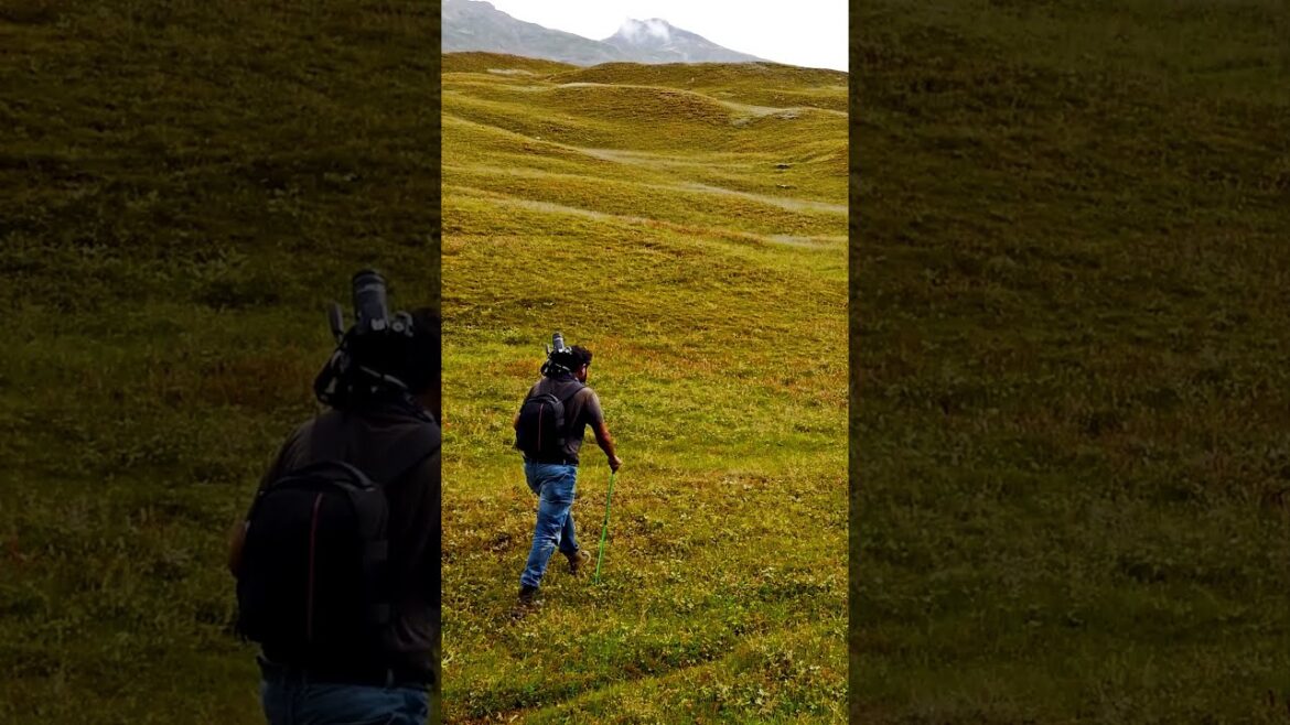 Kabi dekhi itni khoosurat Jagah😍😍 Gandhari Valley #shorts