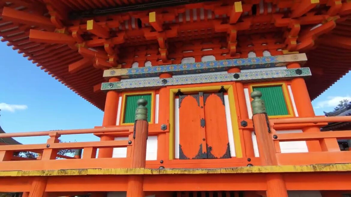 Kyoto 2022 Japan, always travel