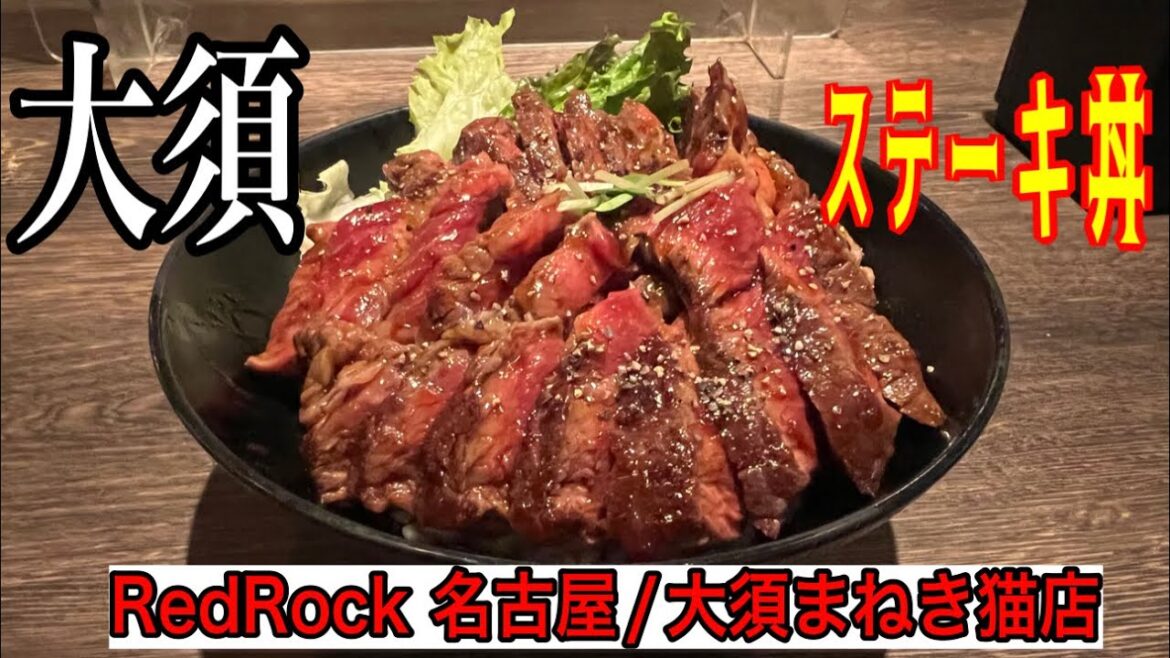 愛知【名古屋ランチ】大須でステーキ丼をガッツリ食べたい方にオススメ!レッドロック 名古屋【japan Aichi nagoya nakaku steak lunchi 愛知【名古屋ランチ】大須でステーキ丼をガッツリ食べたい方にオススメ!レッドロック 名古屋【japan Aichi nagoya nakaku steak lunchi