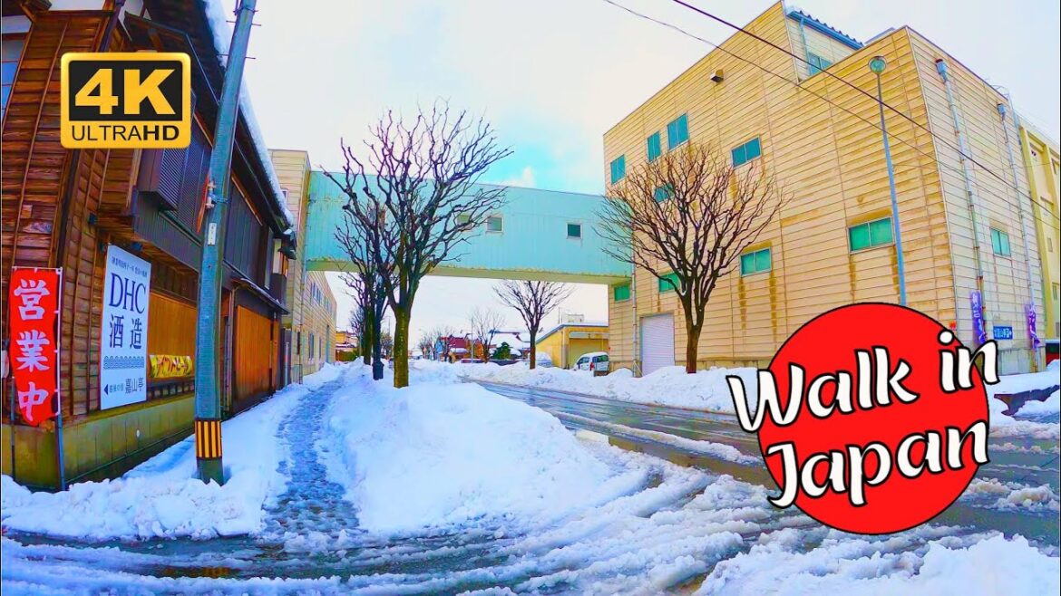 Snowy Streets in Toyosaka, Niigata, Japan (4K 60FPS) Snowy Streets in Toyosaka, Niigata, Japan (4K 60FPS)