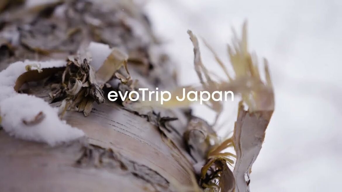 evoTrip Japan evoTrip Japan