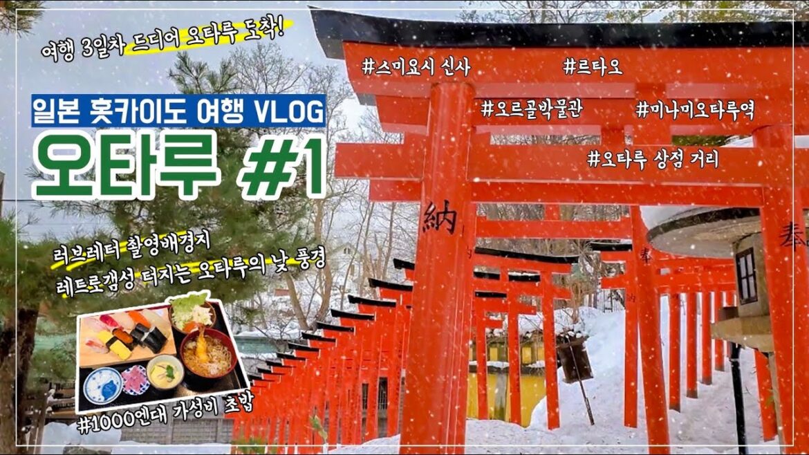 일본여행 | 삿포로에서 오타루까지 가성비최고 스시맛집추천! 홋카이도③ |오르골당 르타오,오타루상점거리,스미요시신사