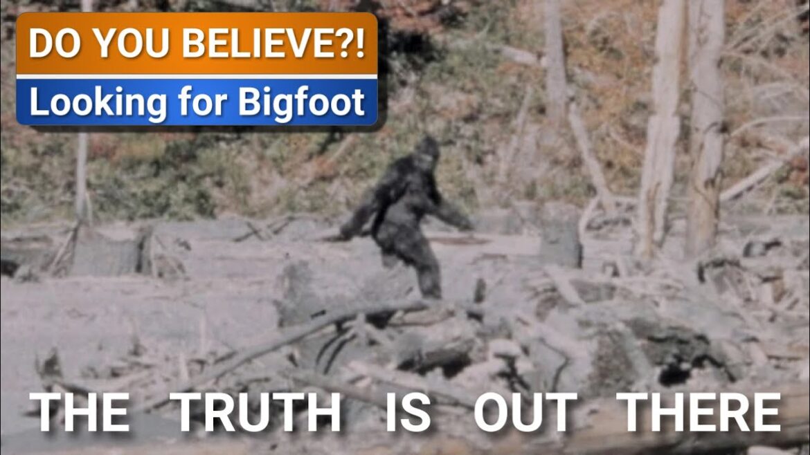 Does BIGFOOT sheet in the woods?