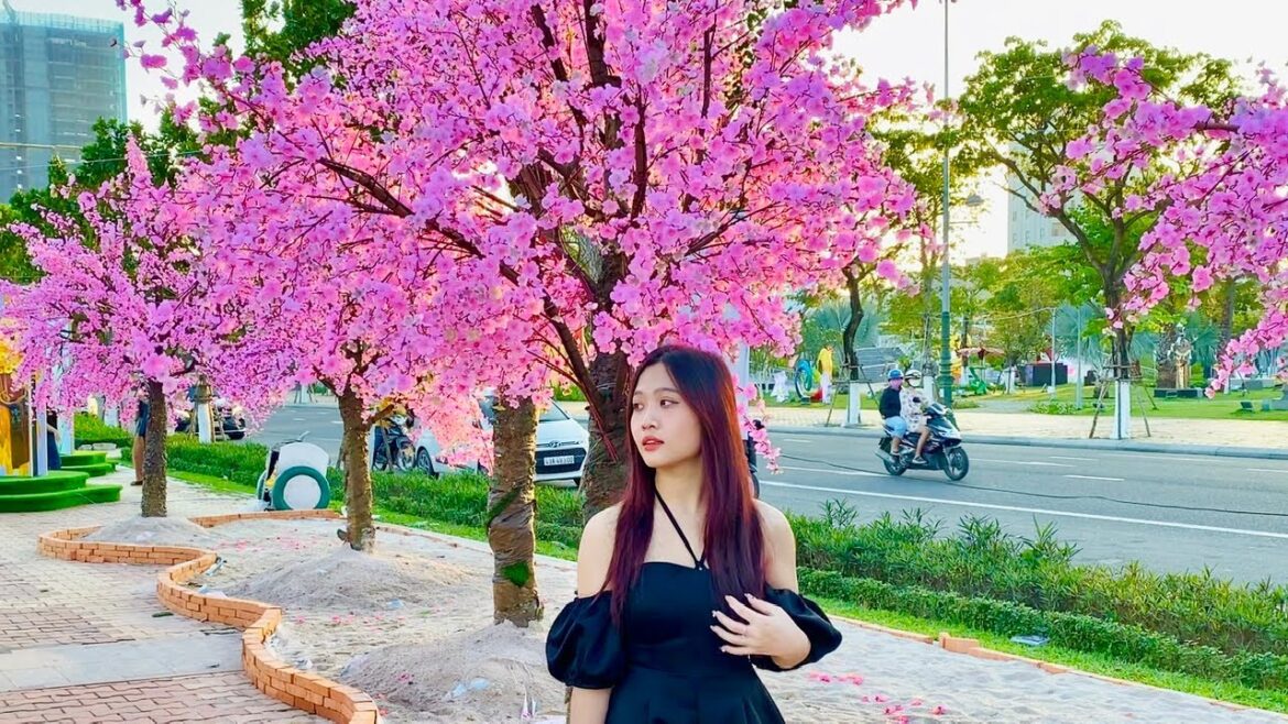 【🇻🇳 4K】Vietnamese Lunar New Year Festival in Da Nang City – Dragon Bridge & Han Riverside Walk 【🇻🇳 4K】Vietnamese Lunar New Year Festival in Da Nang City - Dragon Bridge & Han Riverside Walk