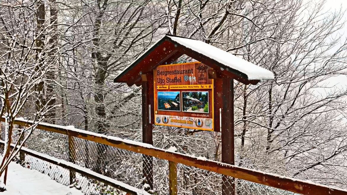 Heavy Snowfall in Uetliberg Zürich Switzerland | Winter Snowfall Walk in Switzerland 4K UHD
