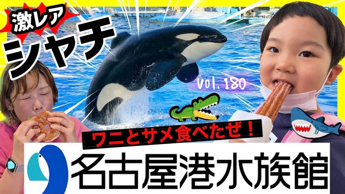 「名古屋港水族館」で珍料理を食べる!サメ・ワニ・イソギンチャク⭐️【ママさん似顔絵師Bon vol.180】シャチ/愛知テーマパーク/遊園地/自由研究 「名古屋港水族館」で珍料理を食べる!サメ・ワニ・イソギンチャク⭐️【ママさん似顔絵師Bon vol.180】シャチ/愛知テーマパーク/遊園地/自由研究