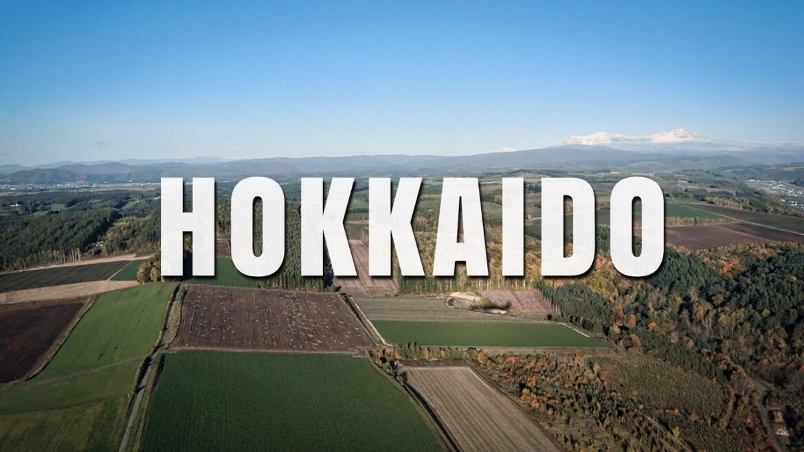 【VLOG】北海道旭川と美瑛 | ２泊３日の旅