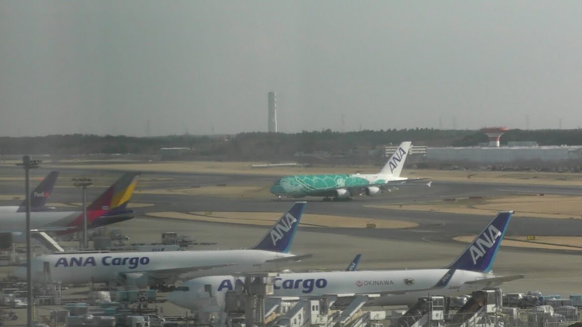 Tokyo Narita Airport LIVE