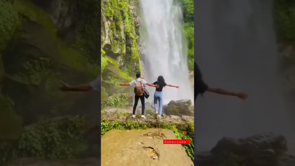 husband wife romance💞new love status💖newly married romantic couple 💑cute couple goal #shorts #sho husband wife romance💞new love status💖newly married romantic couple 💑cute couple goal #shorts #sho