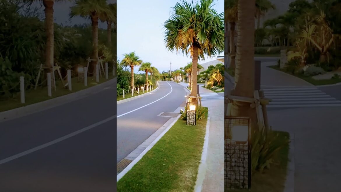 沖縄の晴天と夕暮れ