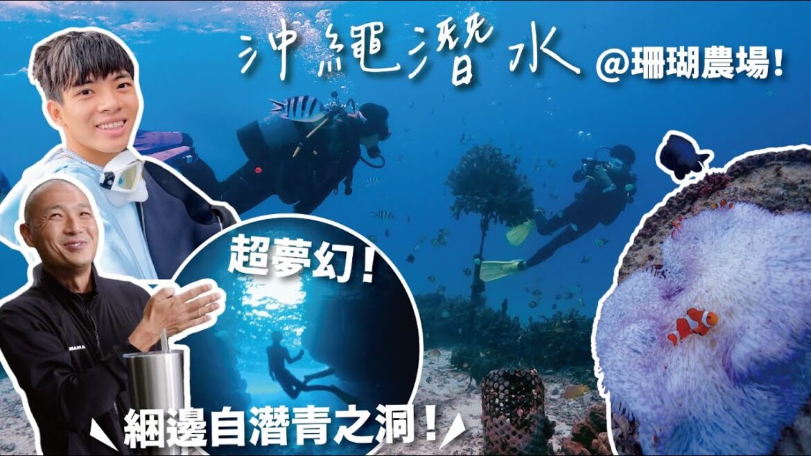 【TraVlog】日本旅行EP3 – 沖繩篇🇯🇵| 冬天沖繩潛水|綑邊Freedive超夢幻青之洞!😍|Chill住潛珊瑚農場👍🏻|ft. @Okifamily) 【TraVlog】日本旅行EP3 - 沖繩篇🇯🇵| 冬天沖繩潛水|綑邊Freedive超夢幻青之洞!😍|Chill住潛珊瑚農場👍🏻|ft. @Okifamily)