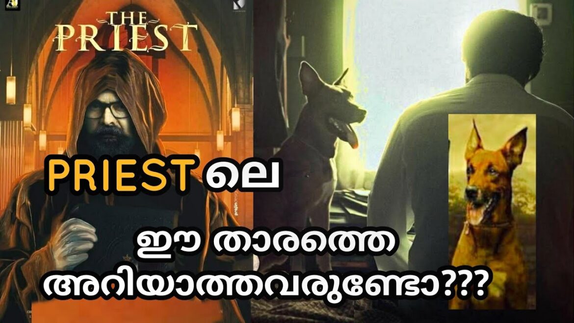 കണ്ടാൽ പറയും ഇവൾ നാടൻ ആണെന്ന് | Belgian malinois In Malayalam | The priest | Mammootty