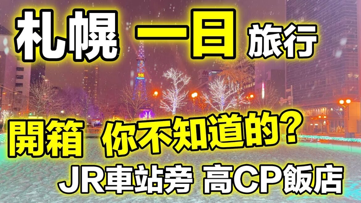 北海道14天🚗自駕遇到超級暴風雪｜旭川意外吃到最愛的拉麵&超親切的日本夫婦老闆【開箱】札幌JR INN飯店
