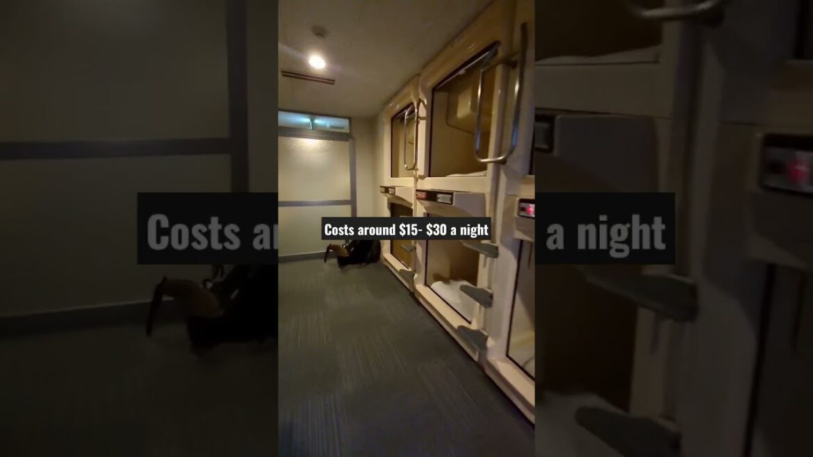 Japanese Hostel SNEAK PEAK! 🇯🇵 #travelJapan #shortsaia