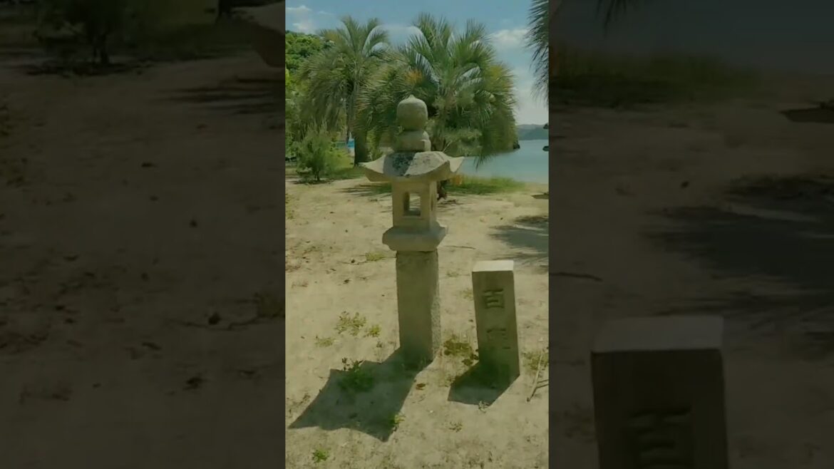 perfect summer day in Japan tori gate in the water #shorts