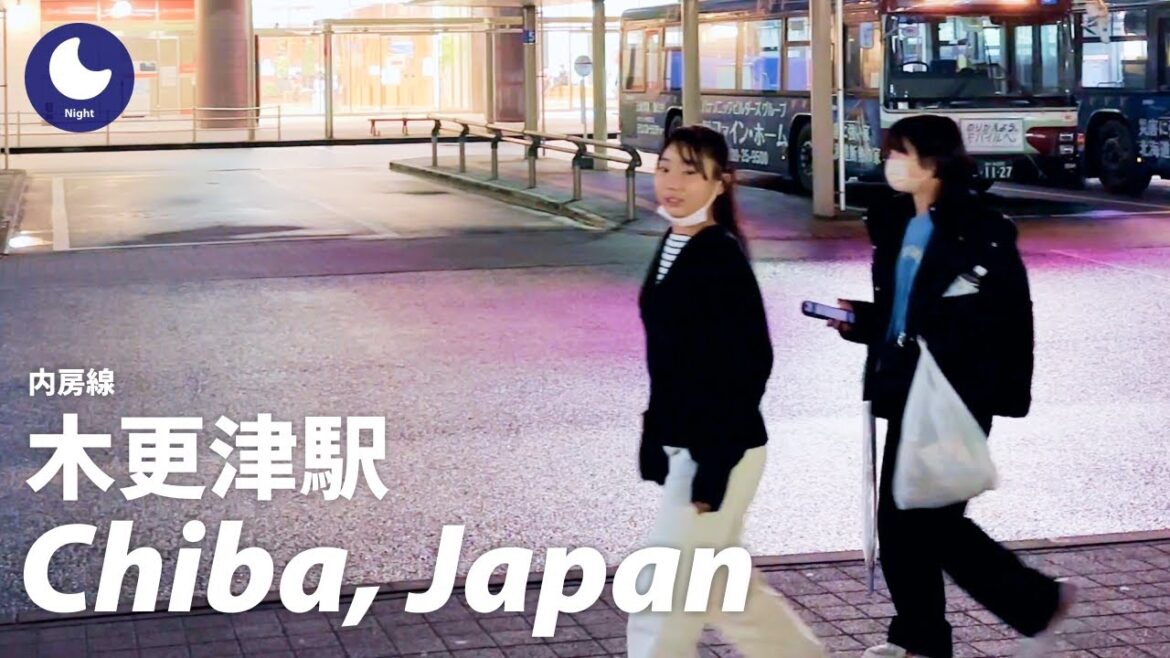 ⁴ᴷ Japan: Kisarazu Station, Chiba / Uchibo Line : Walking Tour 60fps (January, 2023) ⁴ᴷ Japan: Kisarazu Station, Chiba / Uchibo Line : Walking Tour 60fps (January, 2023)