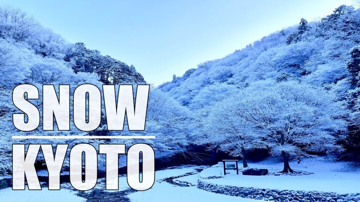 4K Snowfall in Kyoto, beautiful winter snow scenes & landscapes (Japan)
