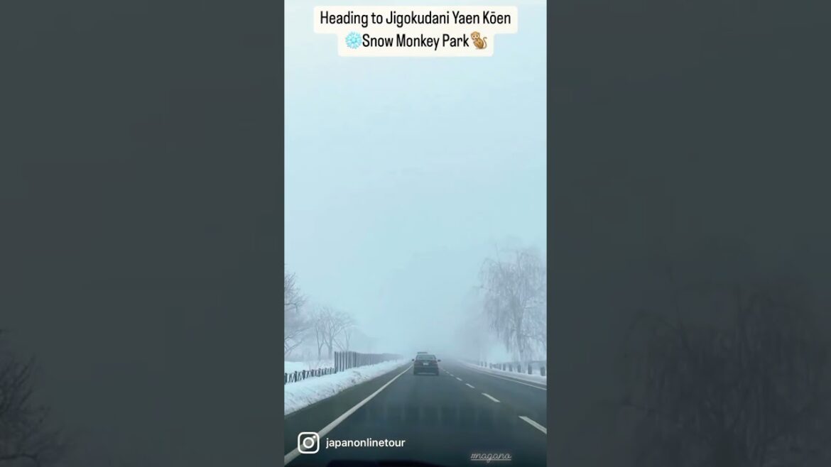 Driveway to Snow Monkey Park