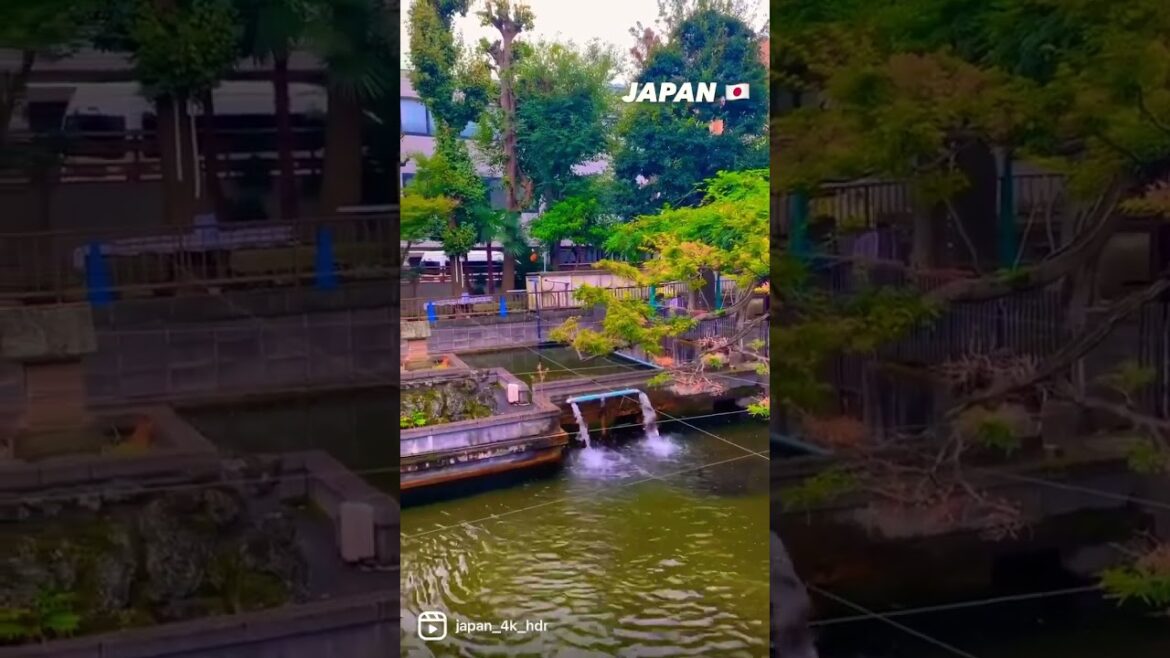 📍Tokyo , Japan 🇯🇵 #shorts #japan #tokyo