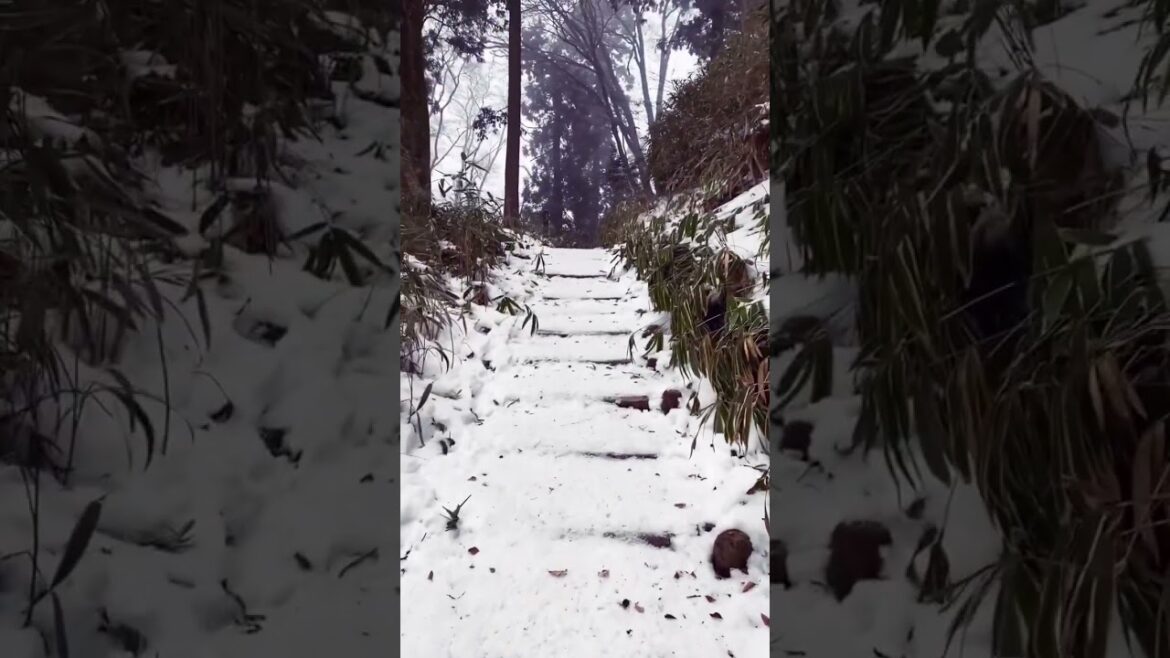 The most beautiful hike in Japan? 🇯🇵❄️🌨️☃️