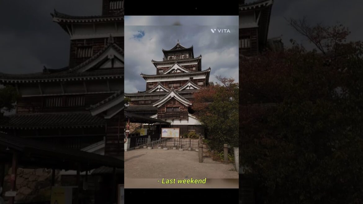 広島城はとっても敷地が広く、広島市の人の憩いの場になっています。緑が溢れ、都会の中に緑がある景色が広がっています。