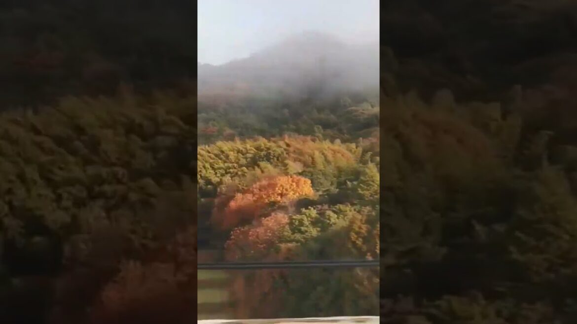 BULLET TRAIN #japantrip #japanese #japan