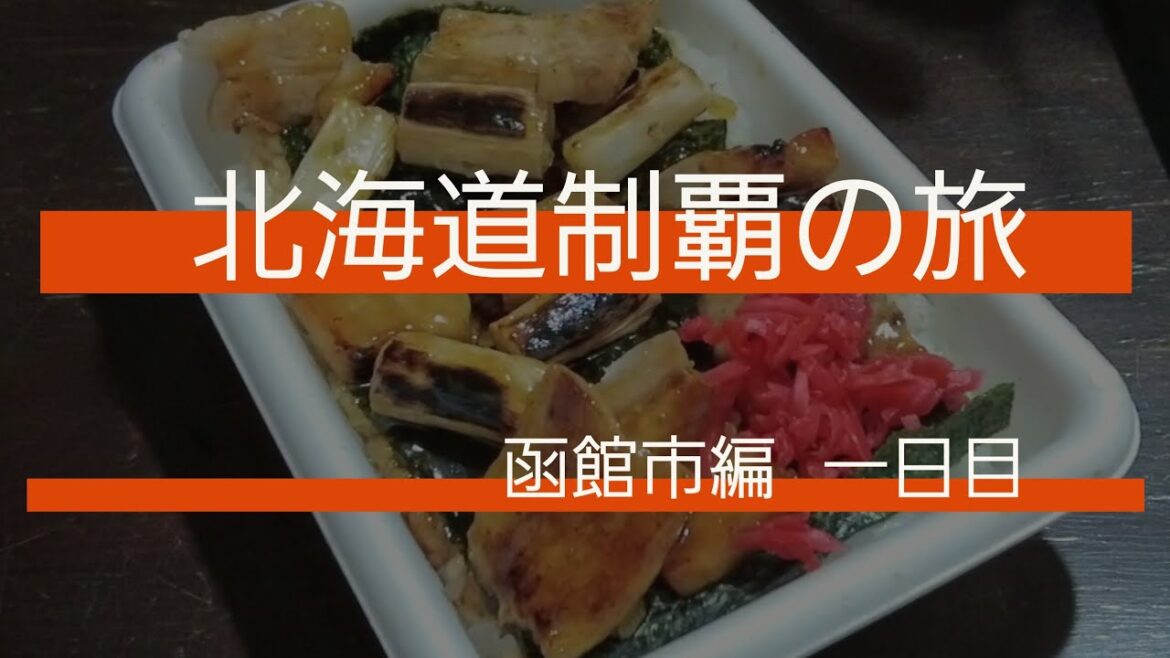 [北海道][函館市] 北海道制覇の旅  [1日目]