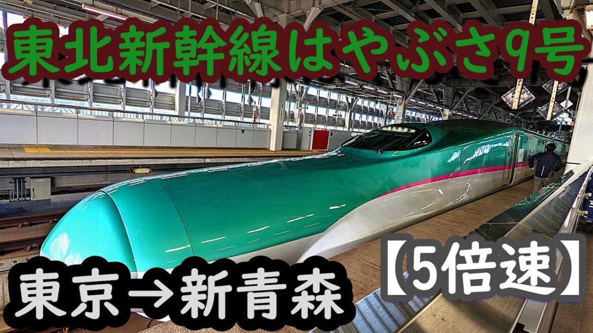東北新幹線はやぶさ9号　東京→新青森　左側車窓側面展望5倍速　Tohoku Shinkansen Hayabusa No.9 Tokyo → Shin-Aomori left car window
