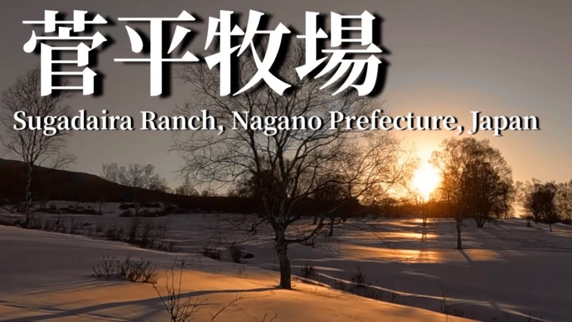 菅平牧場Sugadaira Ranch, Nagano Prefecture, Japan