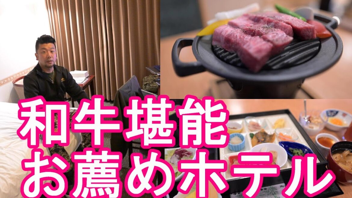 岡山県津山市でお薦めの『津山鶴山ホテル』岡山県の和牛『奈義牛』夕食&絶品朝食!Tsuyama kakuzan hotel in Tsuyama city in Japan 岡山県津山市でお薦めの『津山鶴山ホテル』岡山県の和牛『奈義牛』夕食&絶品朝食!Tsuyama kakuzan hotel in Tsuyama city in Japan