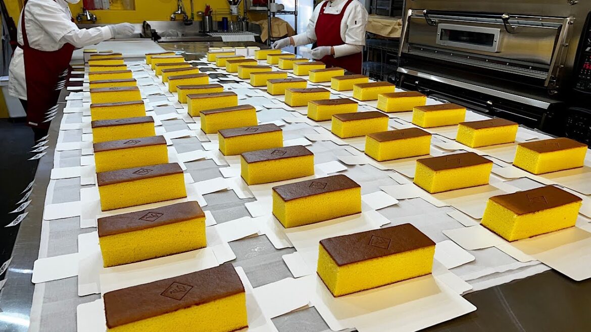 역대급 촉촉함! 국내 유일무이한 일본 전통방식 나가사키 카스테라 Mass production of Japanese-style giant soufflé cake 역대급 촉촉함! 국내 유일무이한 일본 전통방식 나가사키 카스테라 Mass production of Japanese-style giant soufflé cake