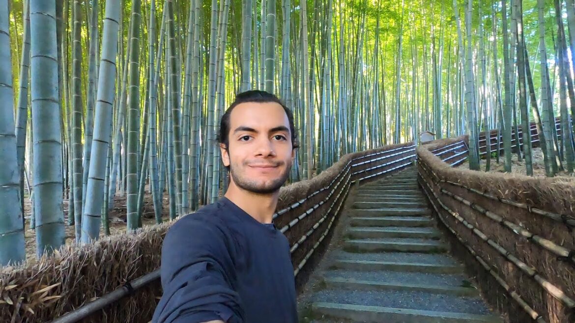 Japan Day 11: Kyoto Temples, Bamboo Forest, and MONKEYS!