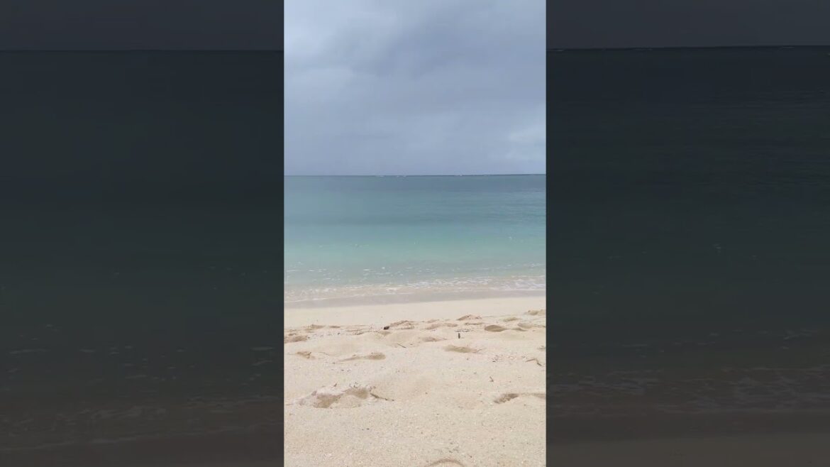 🐚🌲　８　#ARAHA  #Beach　#Chatan City #OKINAWA