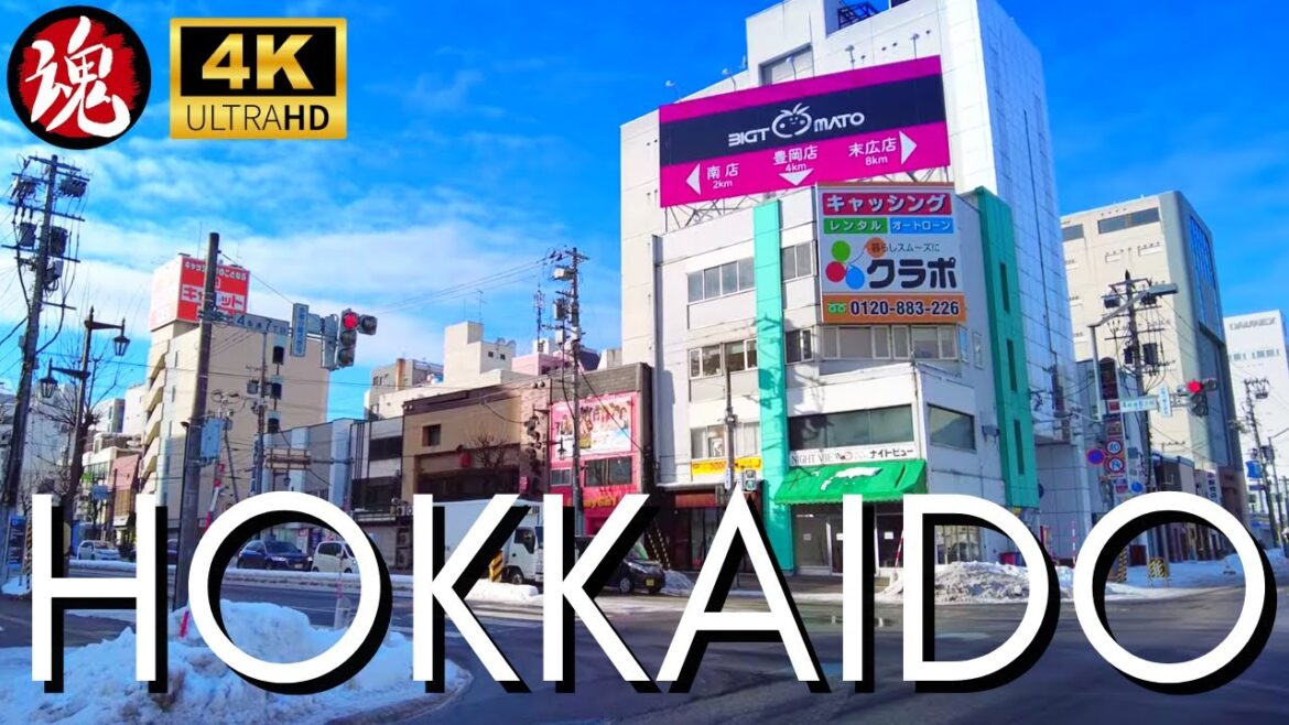 Icy Winter Walk In Freezing Japan | Furarito Asahikawa