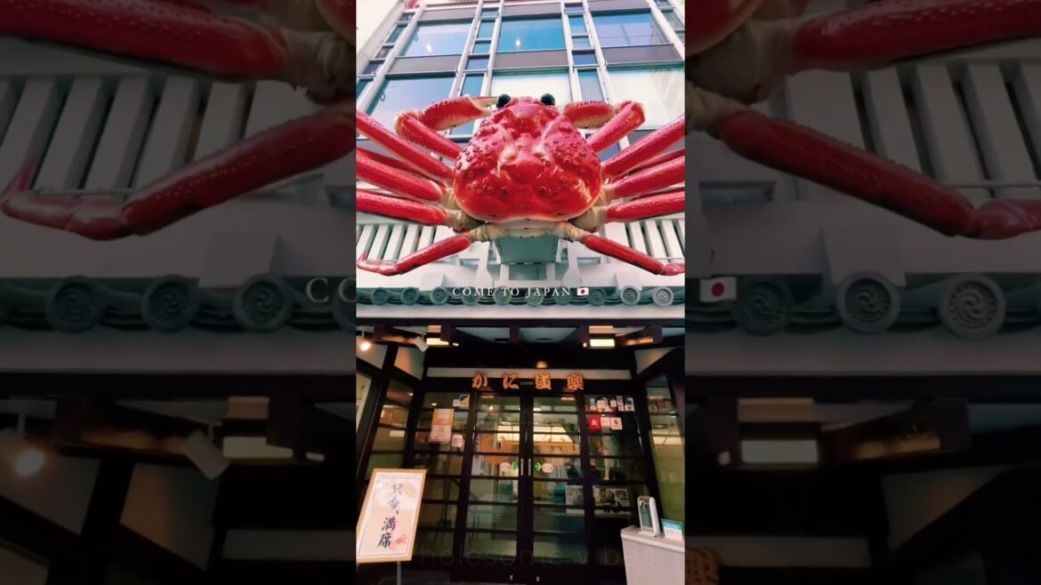 Japan travel 🇯🇵#youtubeshorts #youtube #ytshorts #japantravel