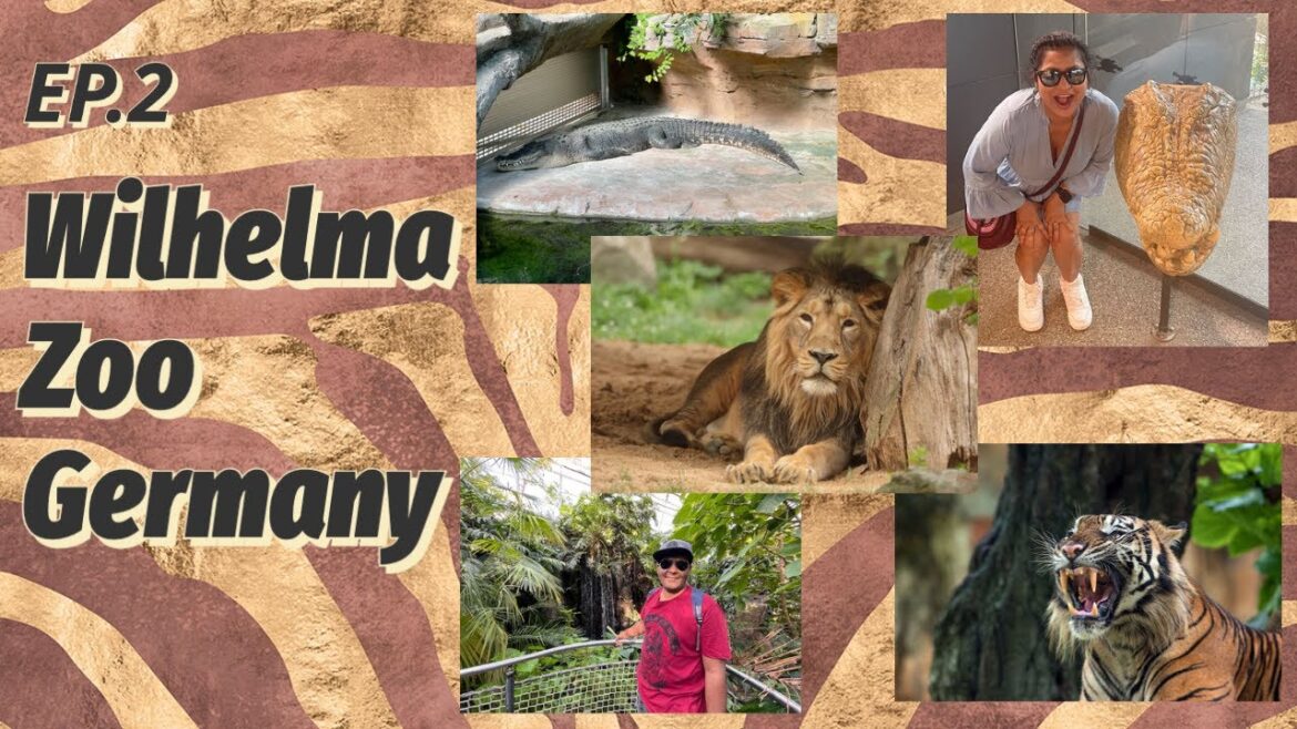 Lions Tigers | Wilhelma ZOO Walking Tour | Big CATs