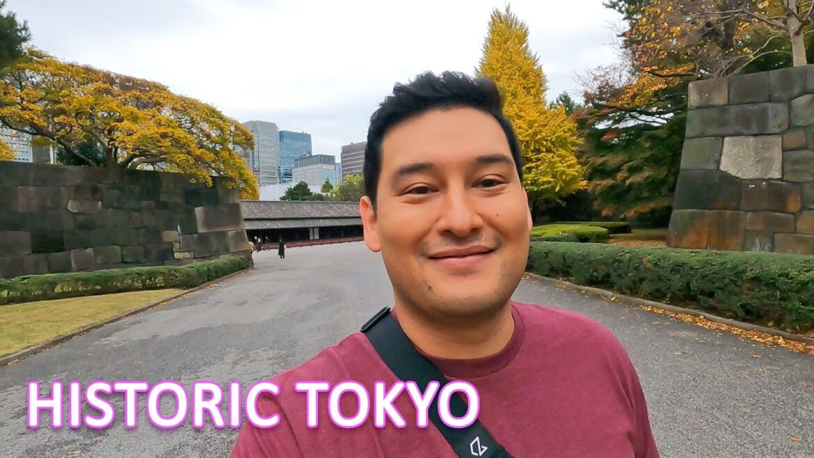 Tokyo Imperial Palace Tour - Japan Travel Vlog