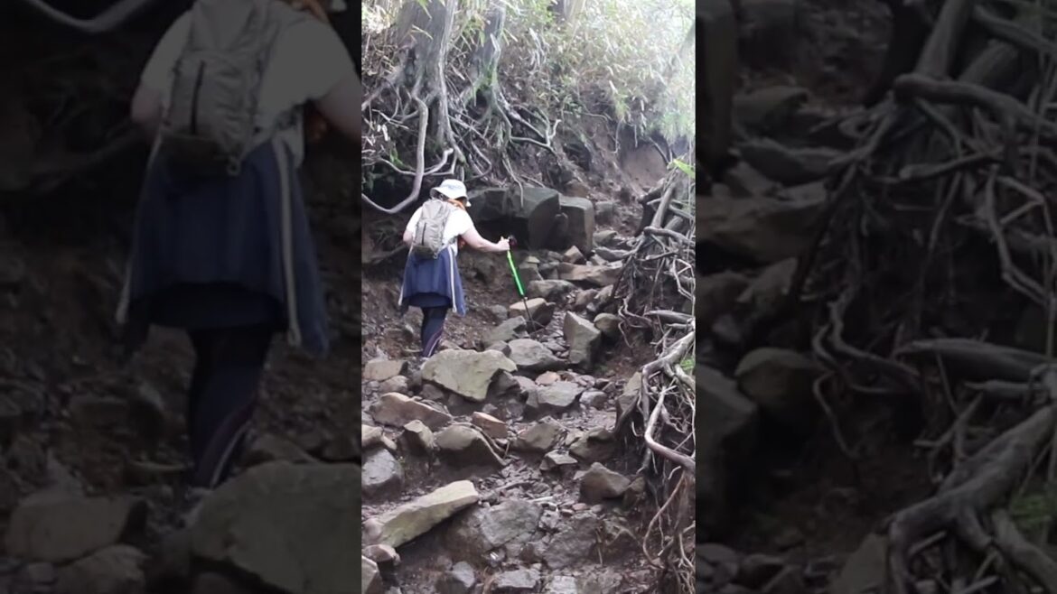 Japan Hiking Mount Kintoki near Hakone